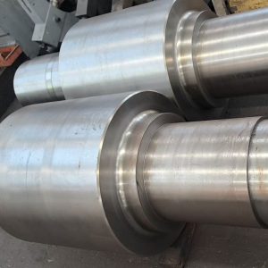 Backup Roll